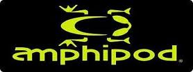 amphipod