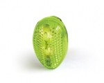 amphipod 1